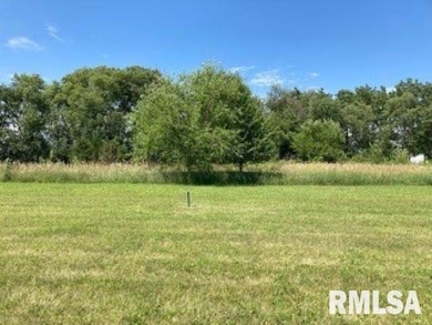 4001 229th Street Cir N, Port Byron, IL 61275 - photo 2