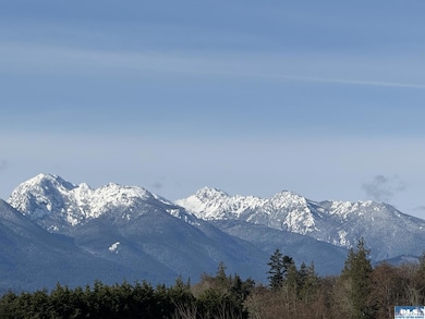 212 Letha Ln, Sequim, WA 98382 - photo 2