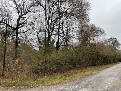 0 County Road 4322, Dayton, TX 77535 - photo 2