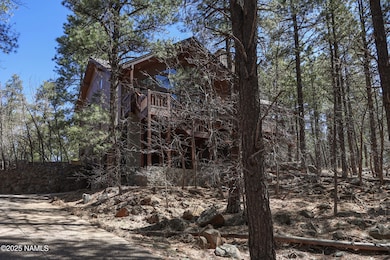 Tree House Setting