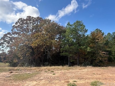 58 Summer Sky Dr, Greenbrier, AR 72058 - photo 2