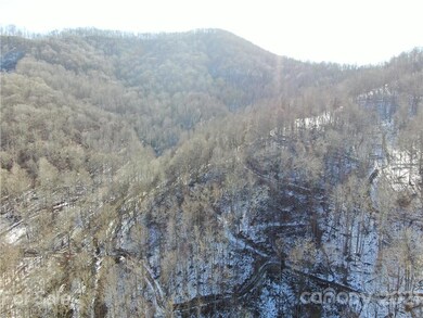 99999 Eagle Rock Ln, Egypt, NC 28714 - photo 5