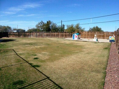 Large Backyard