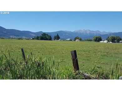 0 0 Lone Fir unit 19409627, Halfway, OR 97834 - photo 7