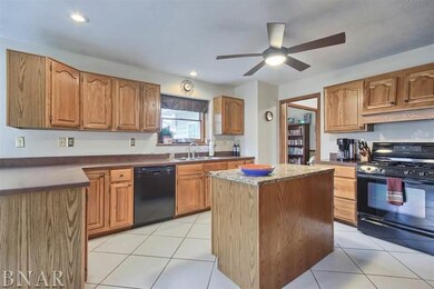 20322 Cedar Ave, Downs, IL 61736 - photo 6