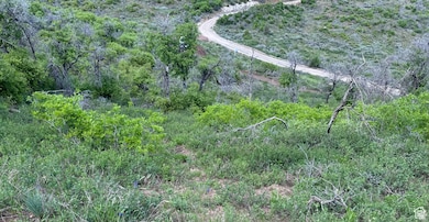 475 E Paradise, Indianola, UT 84629 - photo 3