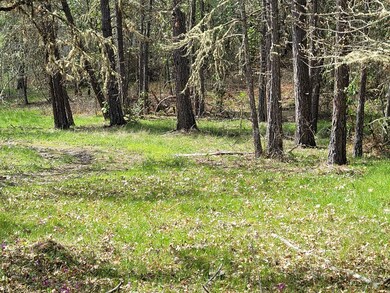 6998 Lower River Rd, Grants Pass, OR 97526 - photo 6