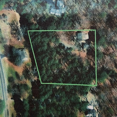 3860 Mountain Pine Rd, Mountain Pine, AR 71956 - photo 2