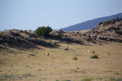 Antelope on West side of outcropping.