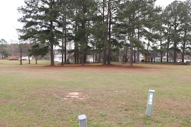 Lot #13 Lakeview Dr, Cordele, GA 31015 - photo 3