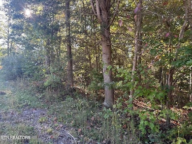 11432696-5NVNpXPJbH9MMWYT