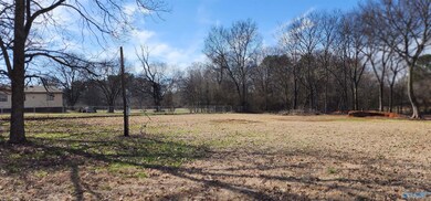 327 Pension Row, Madison, AL 35758 - photo 2