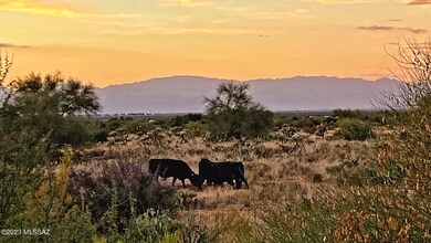 Open Range behind!