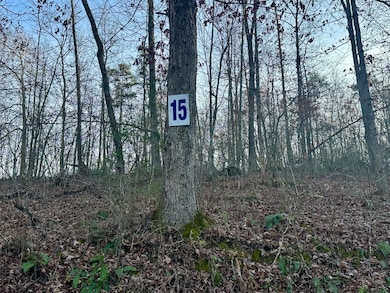 Lot 15 Hensley Rd, East Bernstadt, KY 40729 - photo 4