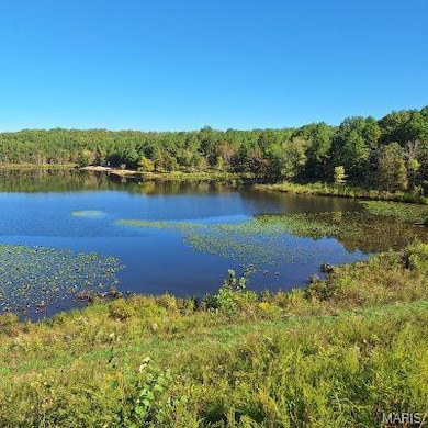 4 Turkey Creek, Lowndes, MO 63951 - photo 2