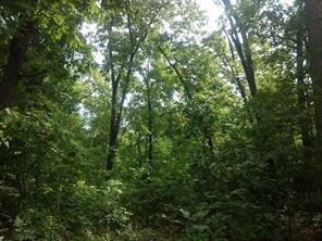 0 Trafalgar Road & Lytham Ln unit 1127202, Bella Vista, AR 72714 - photo 3