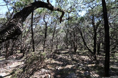 21710 Vale Pass, San Antonio, TX 78255 - photo 7