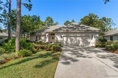 3824 N Baltusrol Path, Lecanto, FL 34461 - photo 2