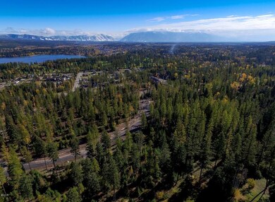 Tamarack Ridge