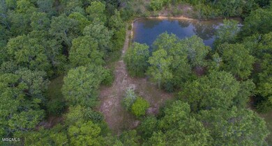 85 Horse Creek Rd, Mc Henry, MS 39561 - photo 2