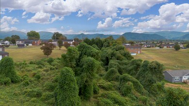 .785 acres Cresthill Dr, Lexington, VA 24450 - photo 6
