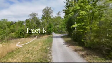 20250527212604880510000000-o