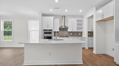 45 Fire Opal Ct, Clayton, NC 27520 - photo 6