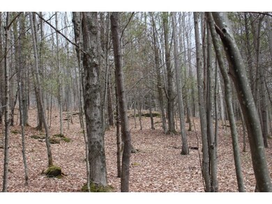 801 Brookfield Rd, Berlin, VT 05602 - photo 3