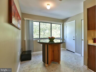 8009 Greenspring Way unit E, Owings Mills, MD 21117 - photo 5
