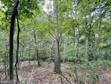 0 Mill Hill Rd, Warfordsburg, PA 17267 - photo 6