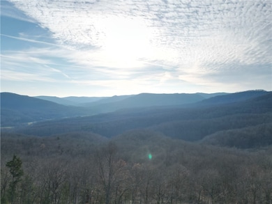 3103 Nc 8401, Jasper, AR 72641 - photo 4