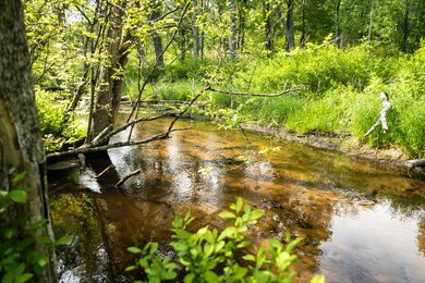 Taylor Rd. 4