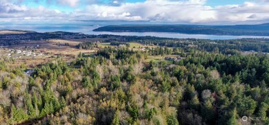 702 Chelsamish Dr, Sequim, WA 98382 - photo 3