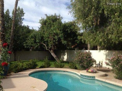 When rear yard was in bloom