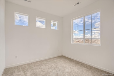 13832 Honey Hush Trail, Parker, CO 80134 - photo 3