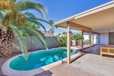1237 E Kristal Way-large-020-25-Backyard