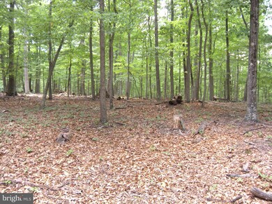 46 ACRES Nettle Ln, Gainesboro, VA 22603 - photo 6