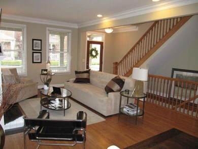 Living Room 1