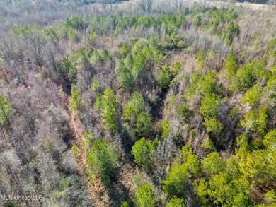 Old Pearl Rd - Land-6