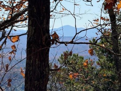 0 John Call Rd unit 7683545, Talking Rock, GA 30175 - photo 4