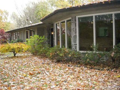 Beautiful   mature garden with lovely trees,  larg