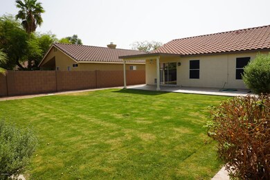 Backyard 4