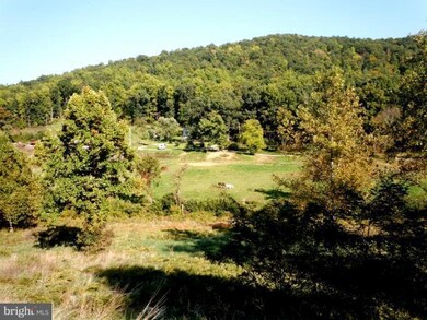 2111 Buck Mountain Rd, Bentonville, VA 22610 - photo 3