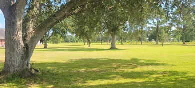 MATURE OAK AND PEAR TREES