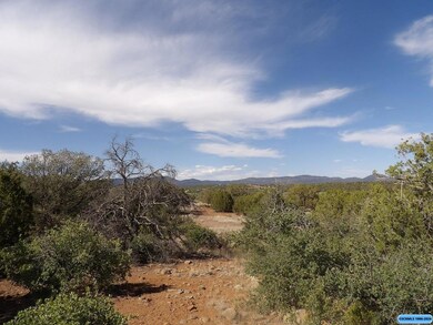 116xx E Highway 180 E unit xx XYZ Rd., Silver City, NM 88061 - photo 5