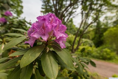 29 Pine Ln, Tivoli, NY 12583 - photo 6