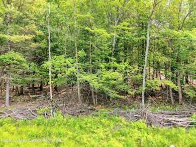 Tbd Boulder Brook Rd Lot B13, Windham, NY 12496 - photo 7