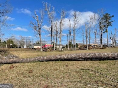 0 E Spring St, Mount Vernon, GA 30445 - photo 2