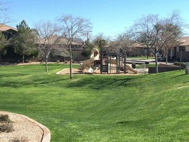 PLAY AREA