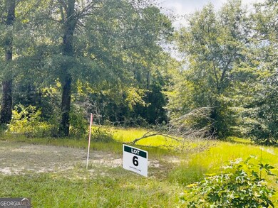 0 Kings Mill Rd unit 6 10547516, Wrens, GA 30833 - photo 3